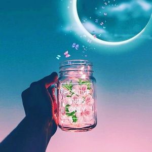 Meet your Posher, Nandita